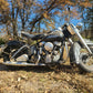 1951 Harley Davidson FL Panhead