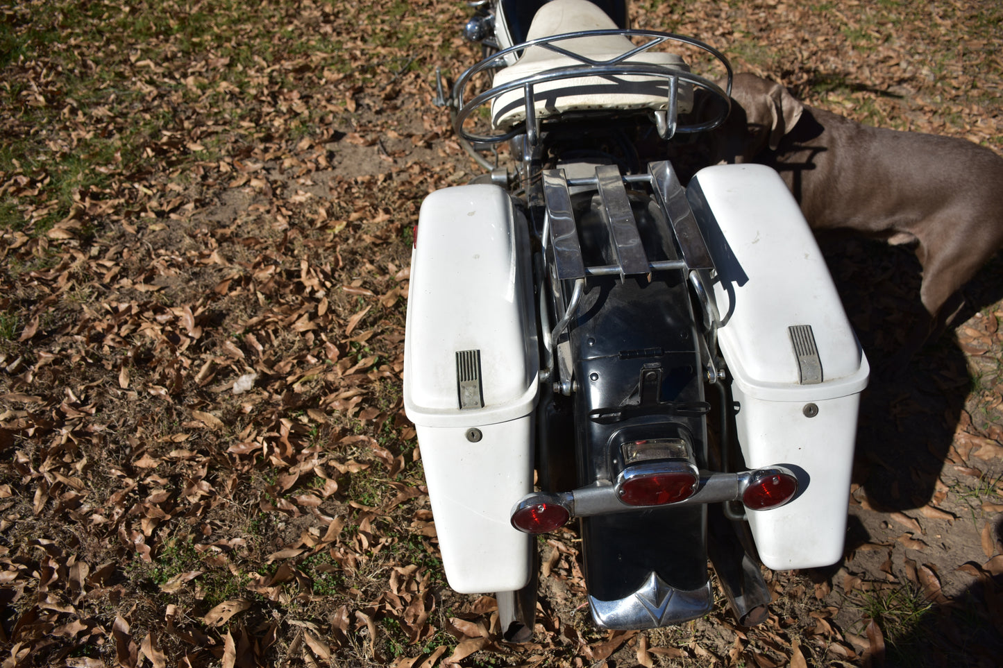 1964 Harley Davidson FLH Panhead